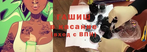 молекула духа Козельск