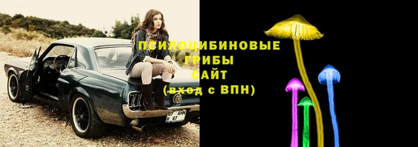 spice Козловка