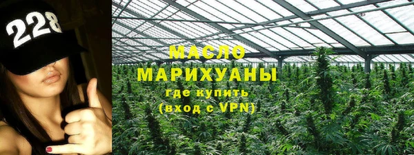 молекула духа Козельск
