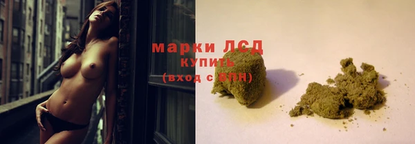 молекула духа Козельск
