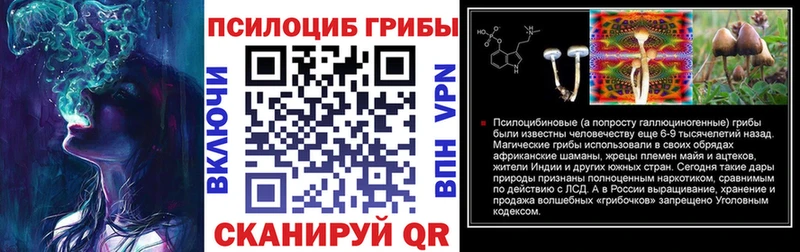 Псилоцибиновые грибы GOLDEN TEACHER  ссылка на мегу как зайти  Гдов 